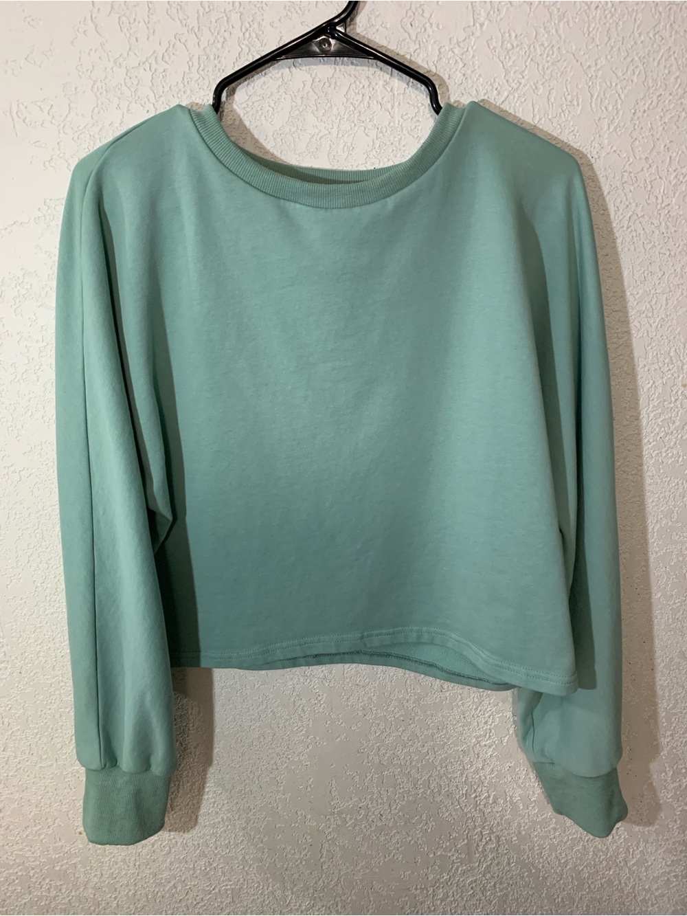 Relaxed Mint Green Long-Sleeve Crop Top